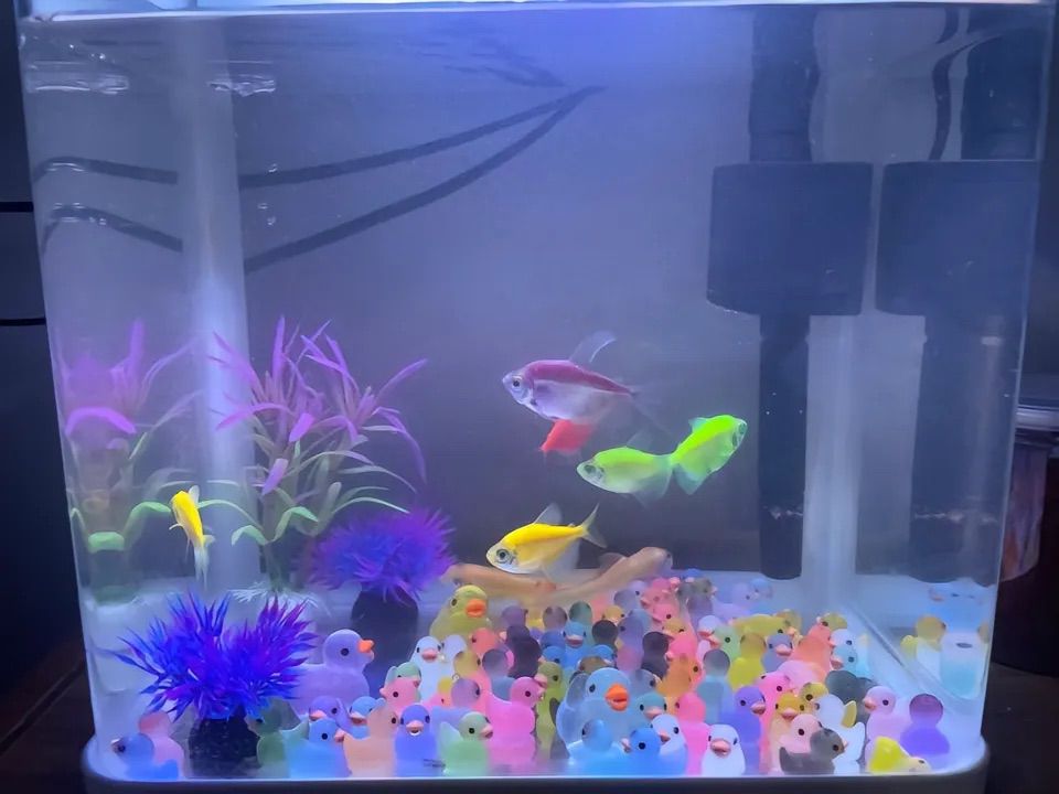 Fshion POP Botol Isi Mainan Mini Bebek Lucu Glow in The Dark  Dekorasi Meja, Hiasan Kamar Tidur, Pajangan Mobil, Koleksi Imut, Hadiah Unik & Spesial untuk Teman/Anak